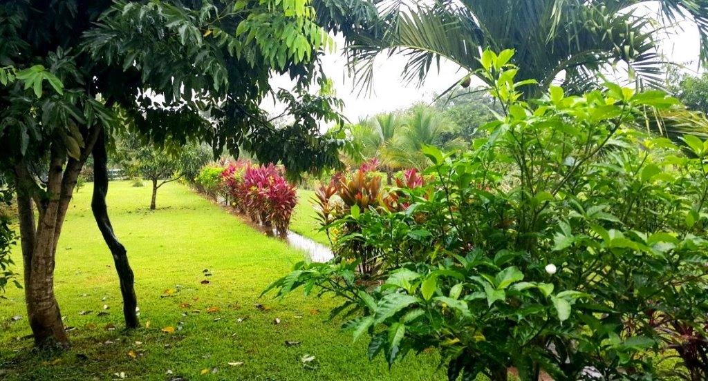 Hermosa Beach Archives REMAX Jaco Beach Costa Rica Real EstateREMAX