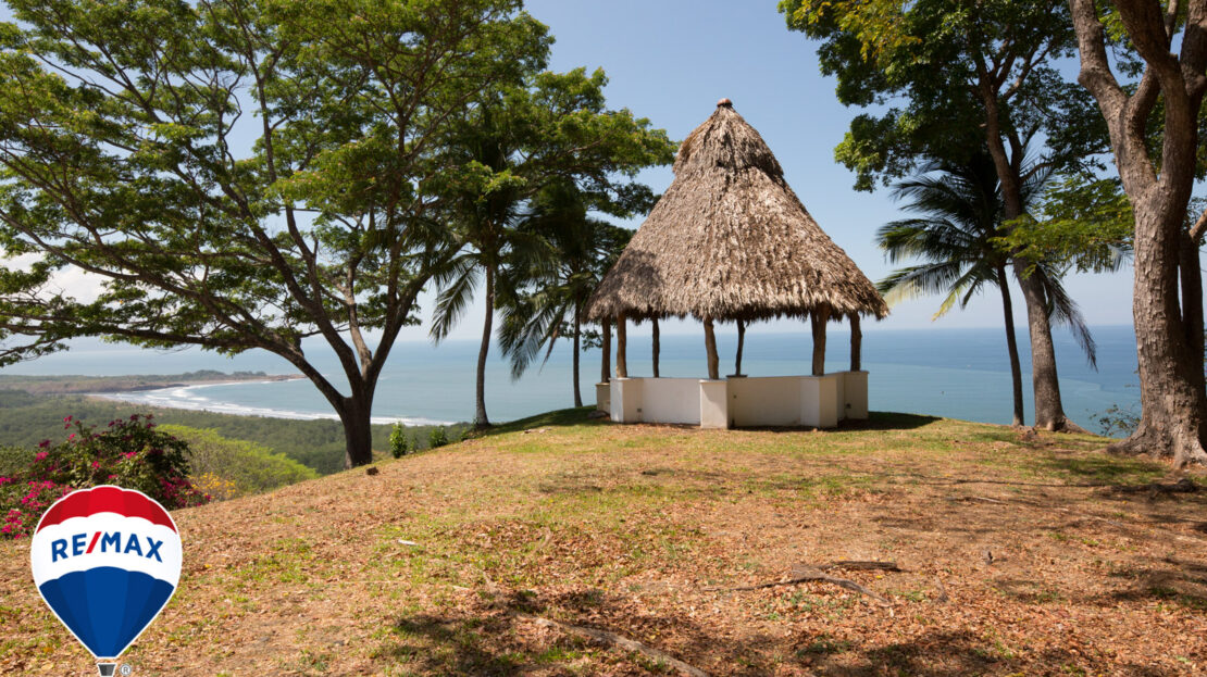 Panoramic View