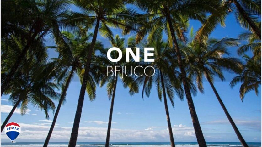 ONE Bejuco