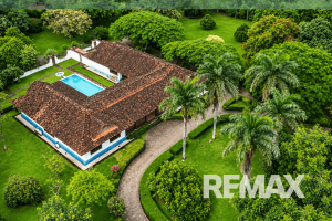 62713 Very profitable palm oil plantation- new