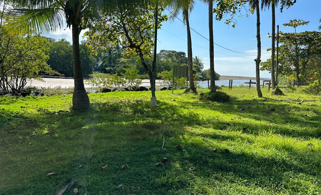 video image