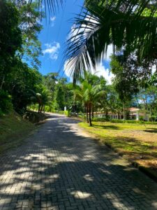 One acre flat lot near Tárcoles white sand beach in Costa Montana, with utilities, security, and tropical surroundings. Ready to build.