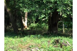 Garabito-Central-Pacific-Costa-RicaHerradura-Bay-For-Sale-5262-9