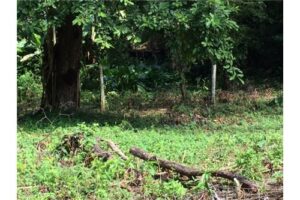 Garabito-Central-Pacific-Costa-RicaHerradura-Bay-For-Sale-5262-10
