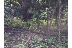 Garabito-Central-Pacific-Costa-RicaHerradura-Bay-For-Sale-5262-11