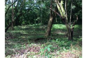 Garabito-Central-Pacific-Costa-RicaHerradura-Bay-For-Sale-5262-12