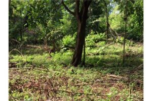 Garabito-Central-Pacific-Costa-RicaHerradura-Bay-For-Sale-5262-13