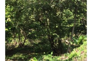 Garabito-Central-Pacific-Costa-RicaHerradura-Bay-For-Sale-5262-15