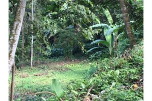 Garabito-Central-Pacific-Costa-RicaHerradura-Bay-For-Sale-5262-19