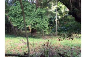 Garabito-Central-Pacific-Costa-RicaHerradura-Bay-For-Sale-5262-20