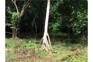 Garabito-Central-Pacific-Costa-RicaHerradura-Bay-For-Sale-5262-7