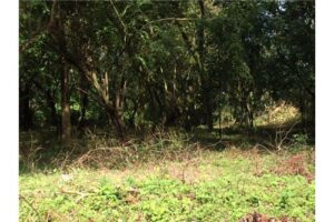 Garabito-Central-Pacific-Costa-RicaHerradura-Bay-For-Sale-5262-8
