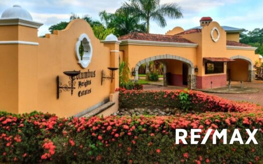 Prime Corner Lot for Sale in Columbus Heights – 9,124 m² Flat Land Perfect for Development
