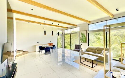 Modern Jungle Retreat
