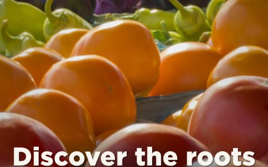 costa rica farmers market