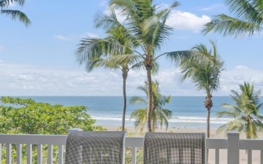 work remotely jaco solea