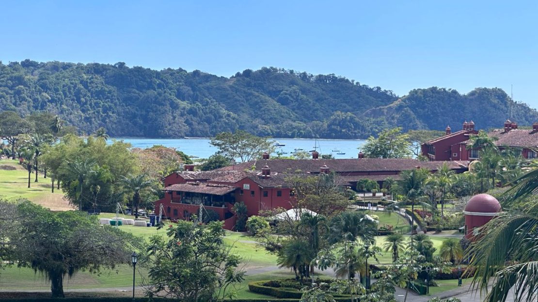 video image