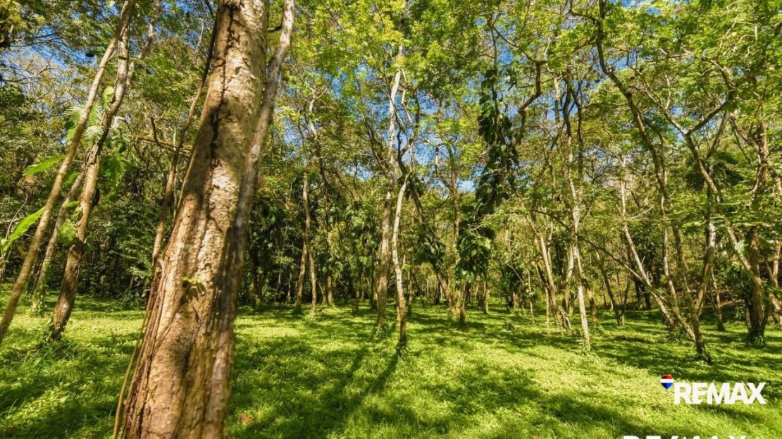 Hermosa Falls Estates – Exclusive Ocean View Lots in Costa Rica — photo 2
