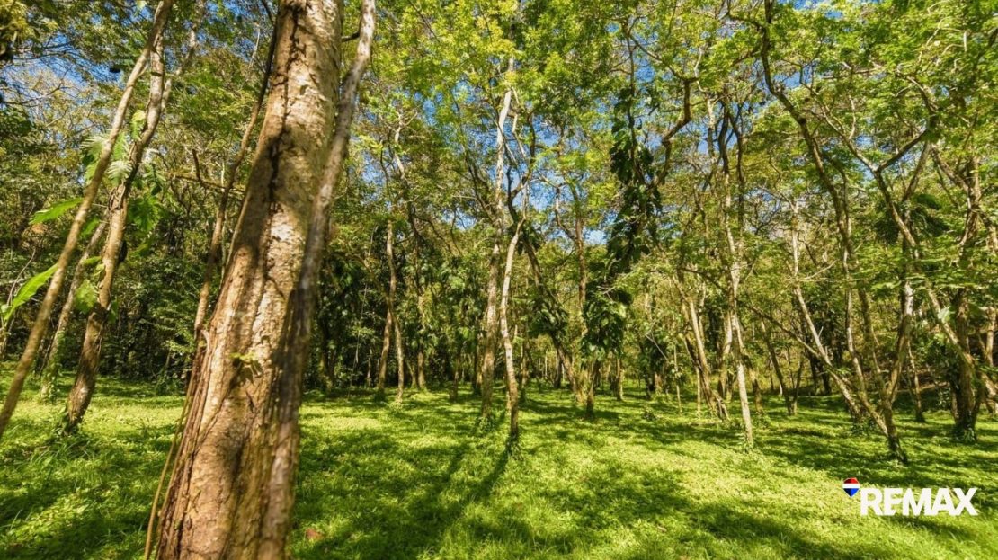 Hermosa Falls Estates – Exclusive Ocean View Lots in Costa Rica — photo 12