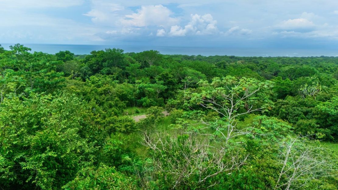 Ocean-View Lot in a Private Gated Community – Esterillos Oeste — photo 5