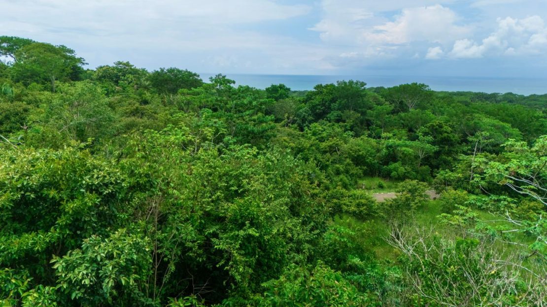 Ocean-View Lot in a Private Gated Community – Esterillos Oeste — photo 4