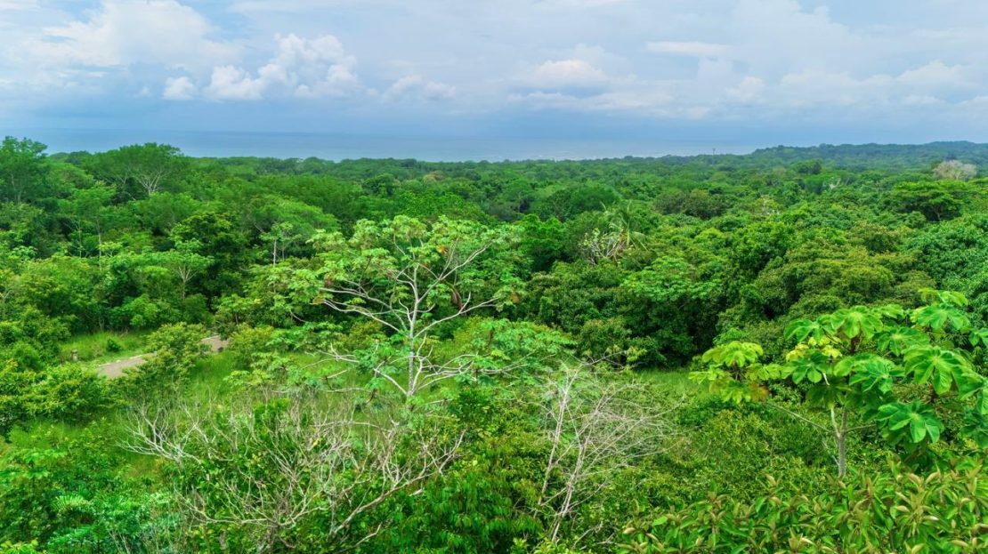 Ocean-View Lot in a Private Gated Community – Esterillos Oeste — photo 6